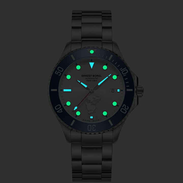 Sage 42mm Automatic Watch in 904L Steel